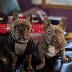 Meet your Posher, Dana